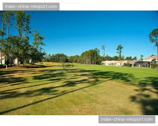 一座老球场的绿色转型：深度解析里尔主场光伏发电并网一年成效